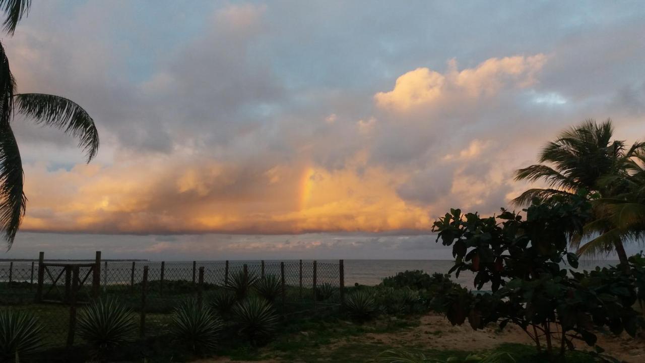 Bungalow Frente A Praia Itacimirim Εξωτερικό φωτογραφία